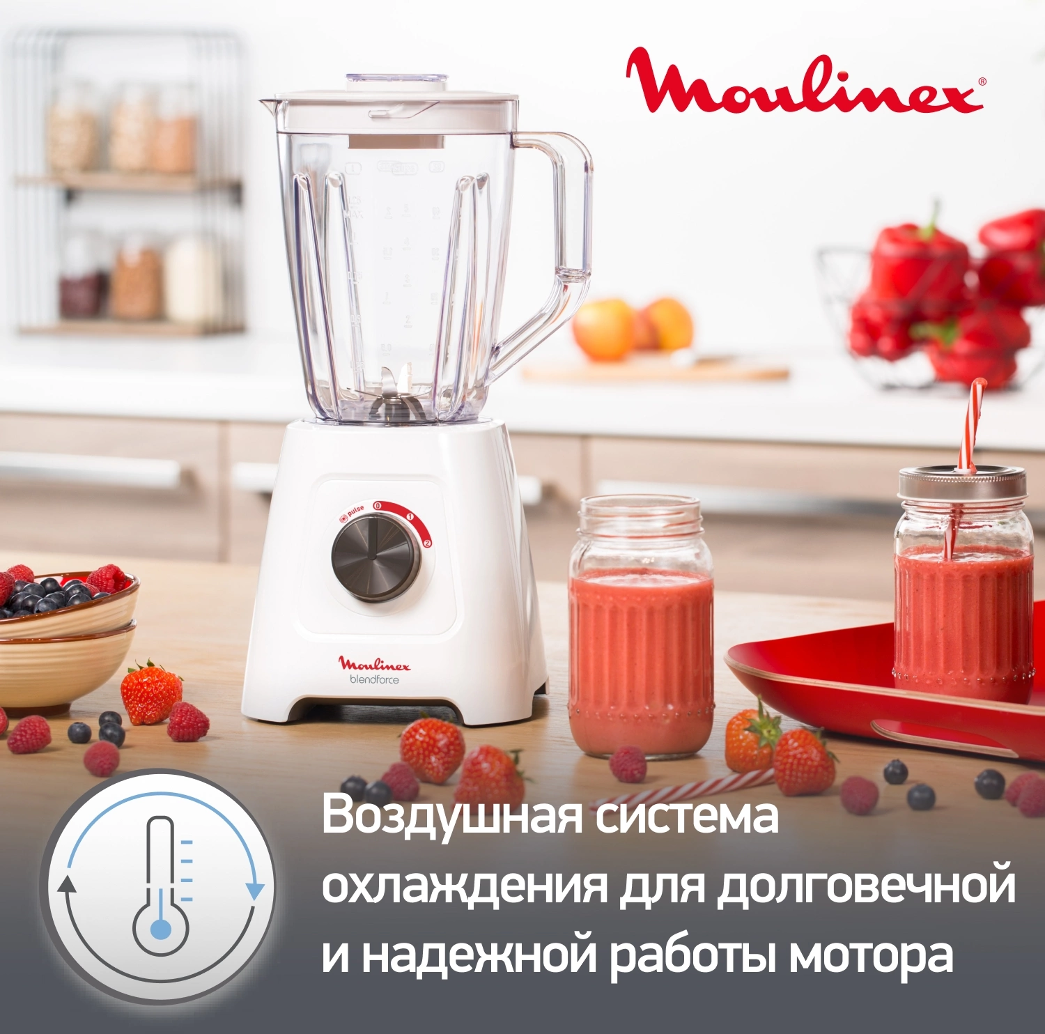 Блендер стационарный Moulinex Blendforce LM420110 белый, фото 8